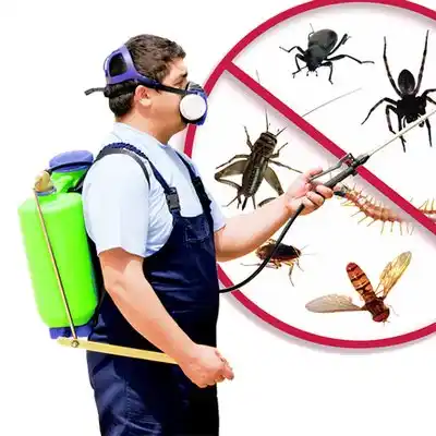 pest control Holmesville